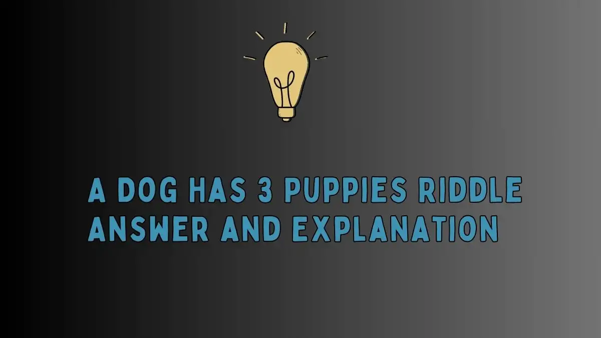 A Dog Has 3 Puppies Riddle Answer and Explanation