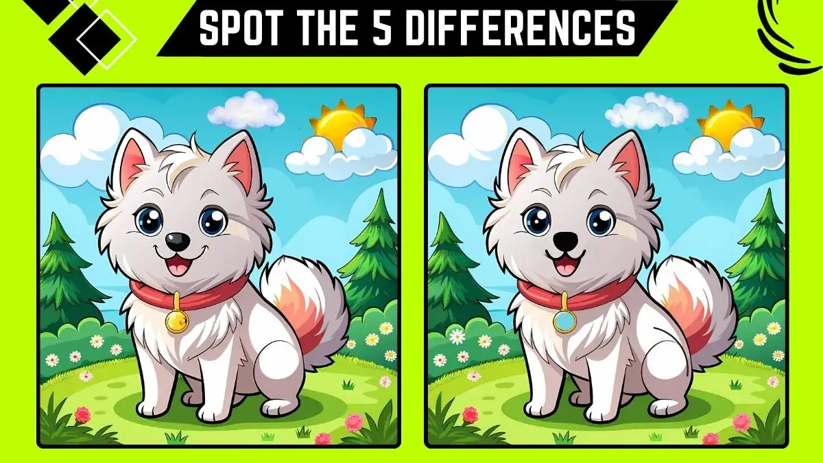 Spot the 5 Differences: Only Sharp Eyes Can Spot the 5 Differences in this Dog Image in 15 Secs