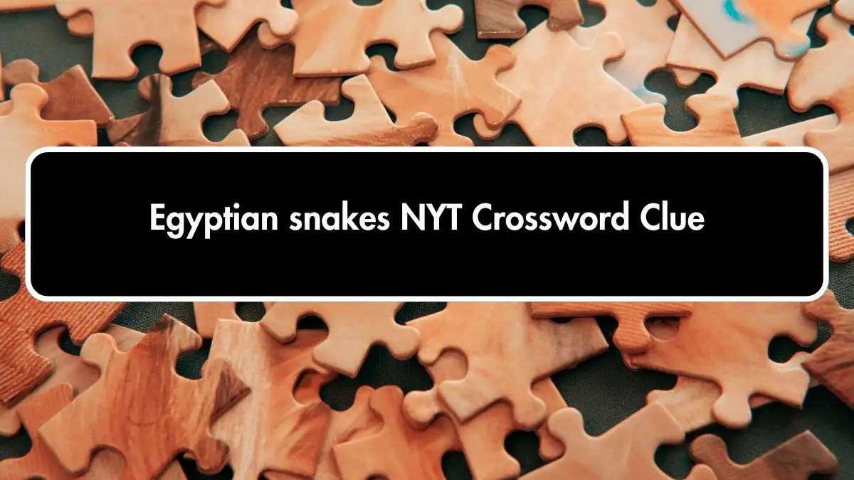 Egyptian snakes NYT Crossword Clue