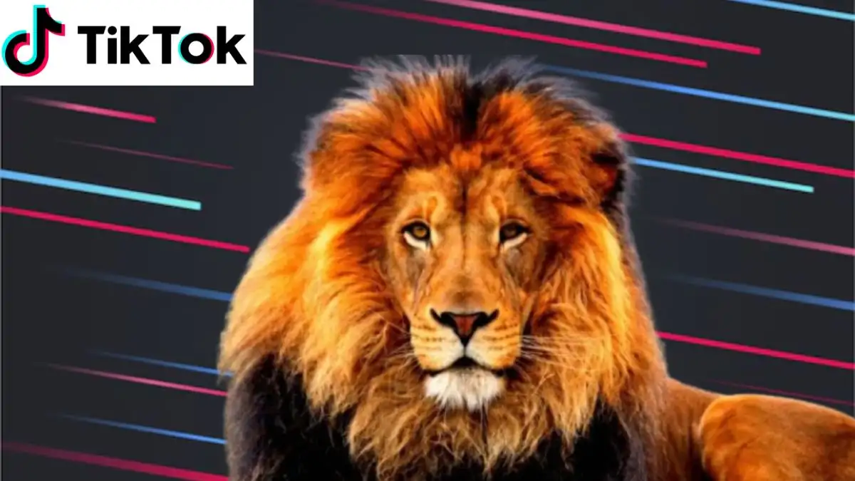 How Much is a Lion Worth on Tiktok? Price of Lion on TikTok