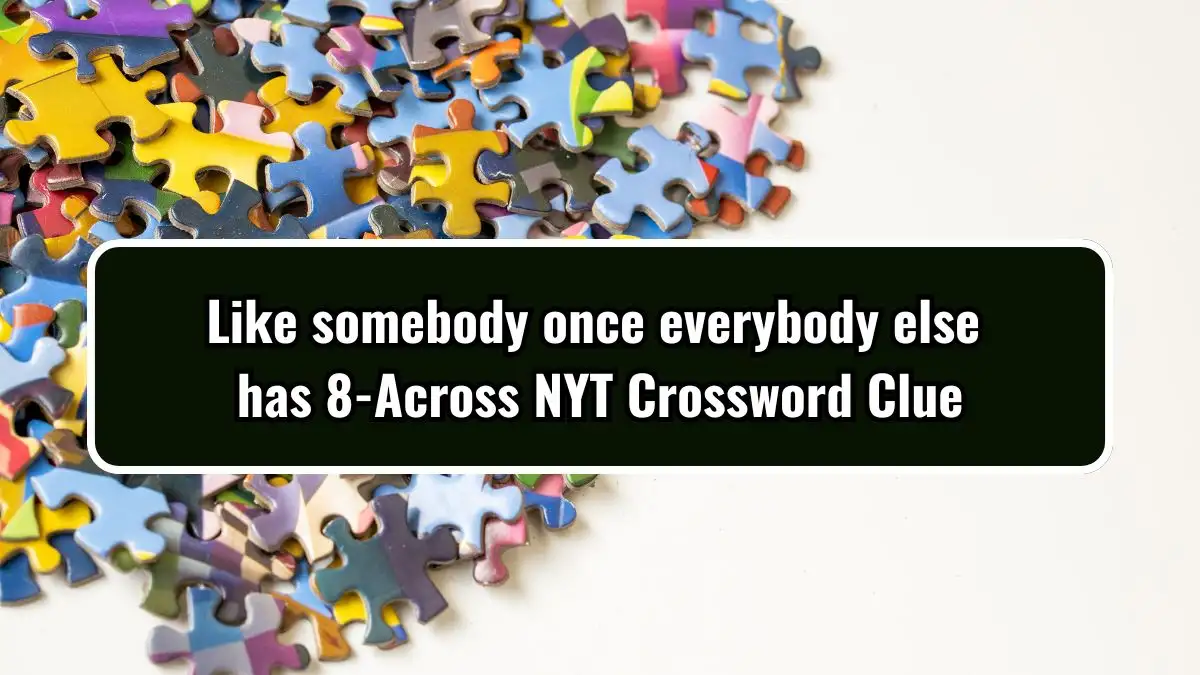 Like somebody once everybody else has 8-Across NYT Crossword Clue