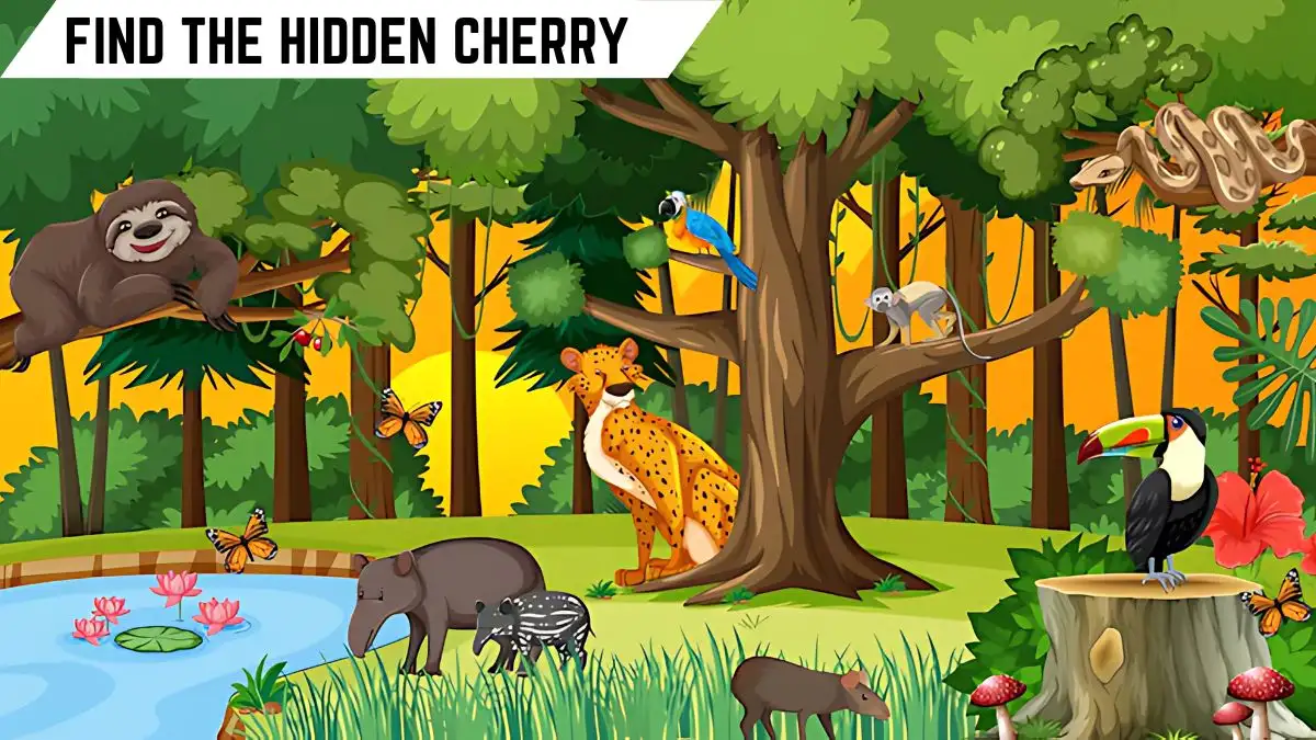 Optical Illusion IQ Test: Only People with Eagle Eyes Can Spot the Hidden Cherry in 8 Secs