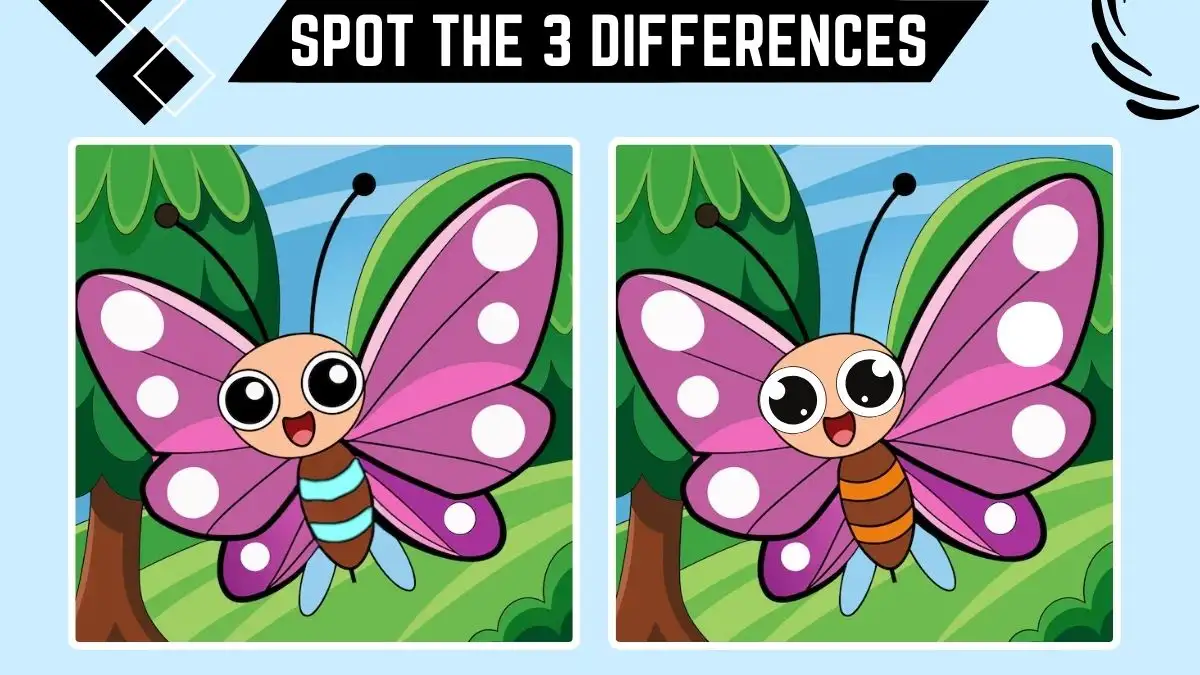 Optical Illusion Spot the Difference Game: Only Eagle Eyes Can Spot the 3 Differences in this Butterfly Image in 10 Secs