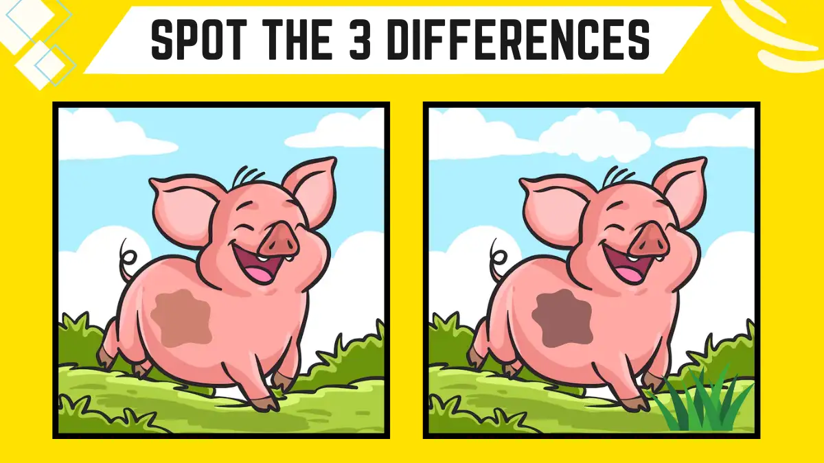 Optical Illusion Spot the Difference Game: Only Genius with Sharp Eyes Can Spot the 3 Differences in this Pig Image in 10 Secs