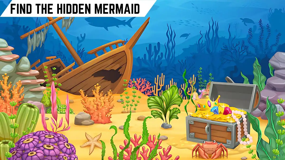 Optical Illusion Visual Test: Test your visual intelligence by finding the hidden Mermaid in 8 seconds!