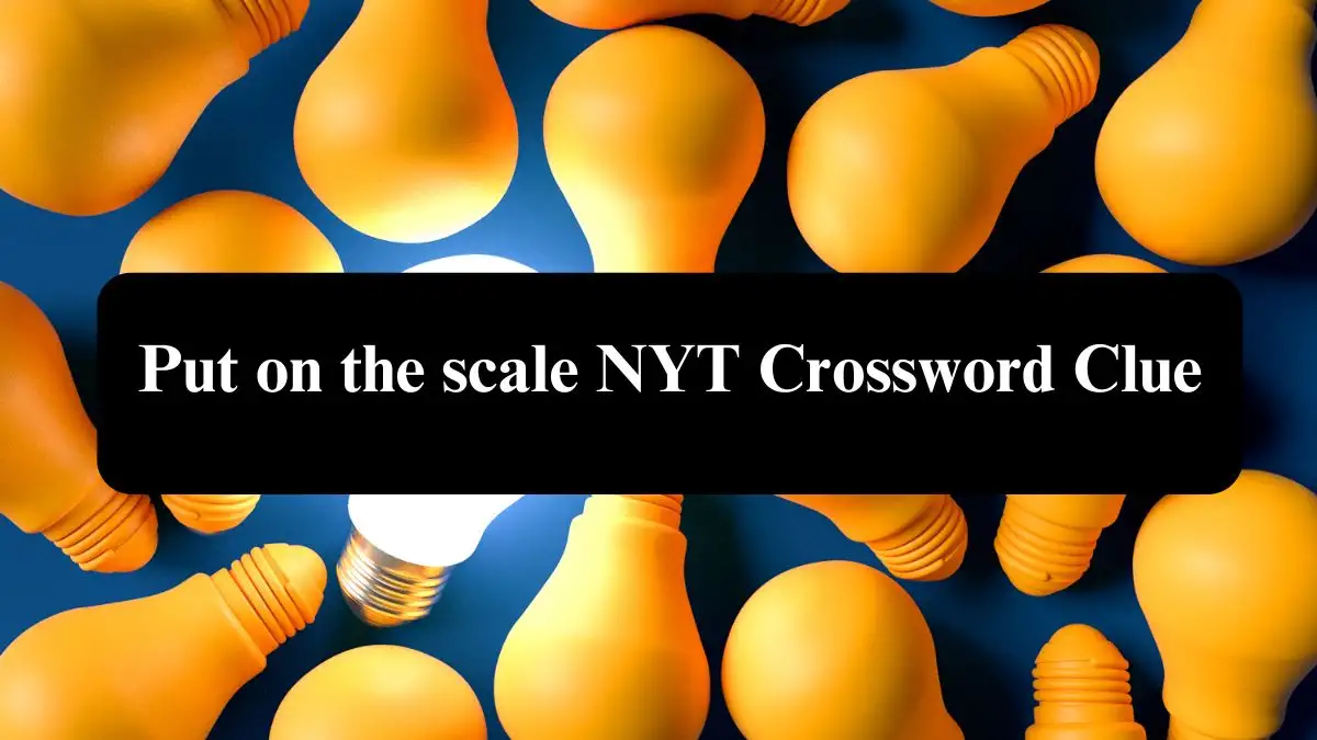 Put on the scale NYT Crossword Clue