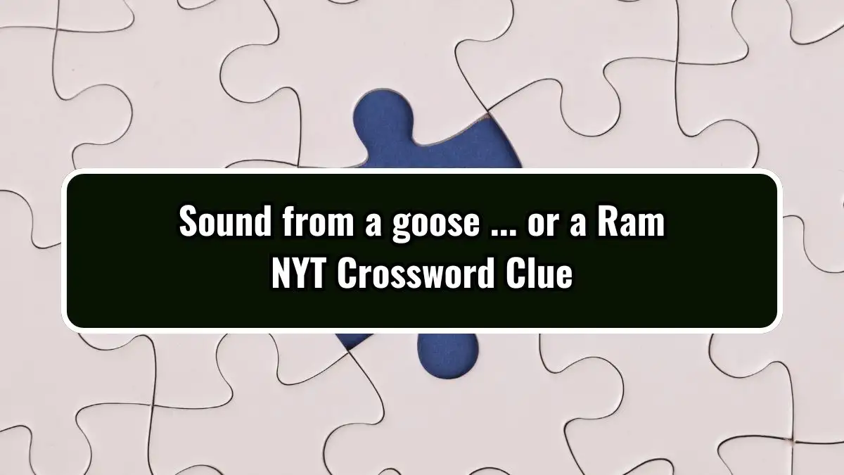 Sound from a goose ... or a Ram NYT Crossword Clue