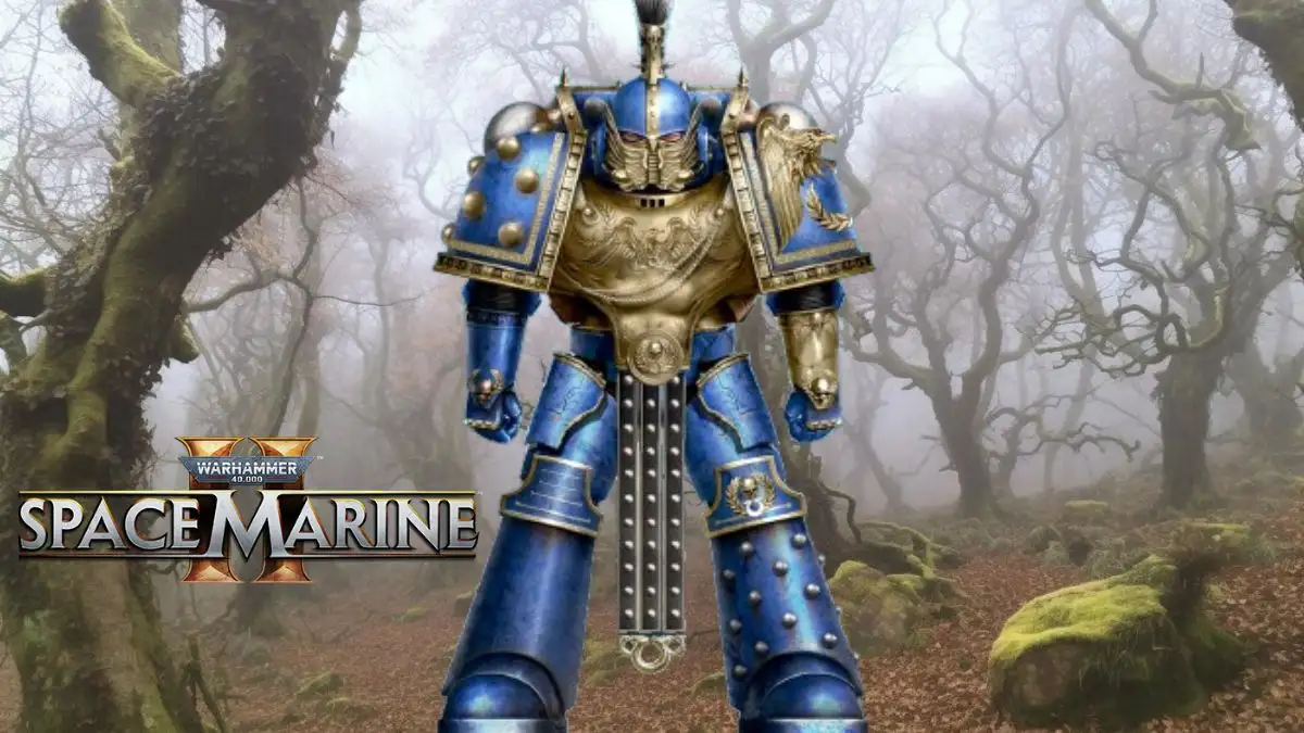 Space Marine 2 How to Customize Your Character? Quick Space Marine 2 Customization Guide