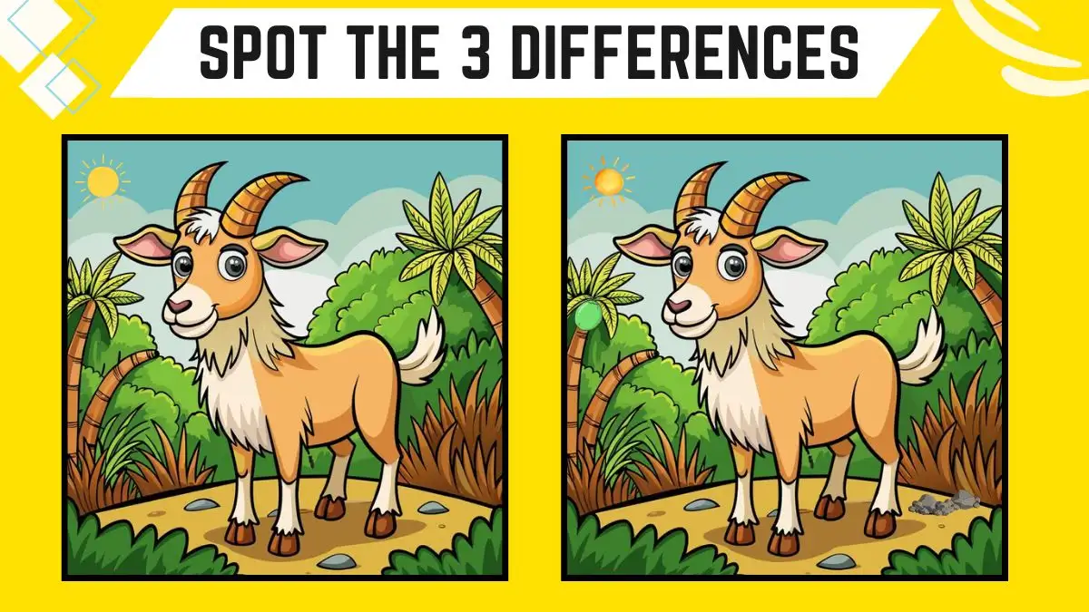 Spot the 3 Differences: Only Sharp Eyes Can Spot the 3 Differences in this Lamb Image in 14 Secs