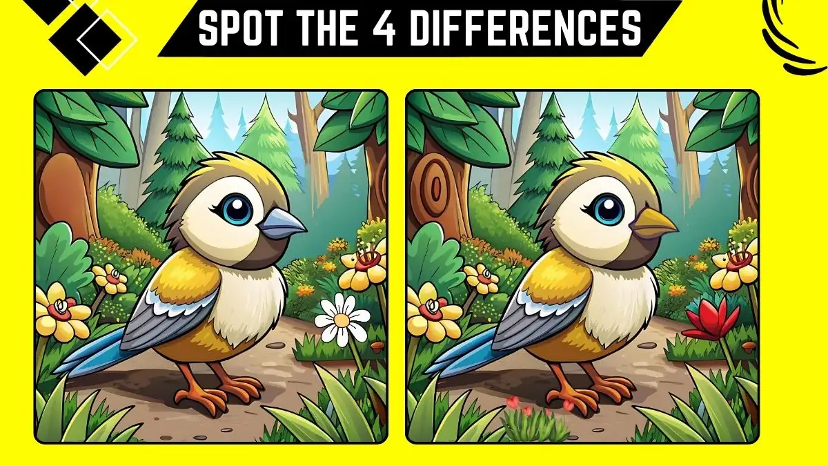 Spot the 4 Differences: Only Eagle Eyes Can Spot the 4 Differences in this Bird Image in 12 Secs