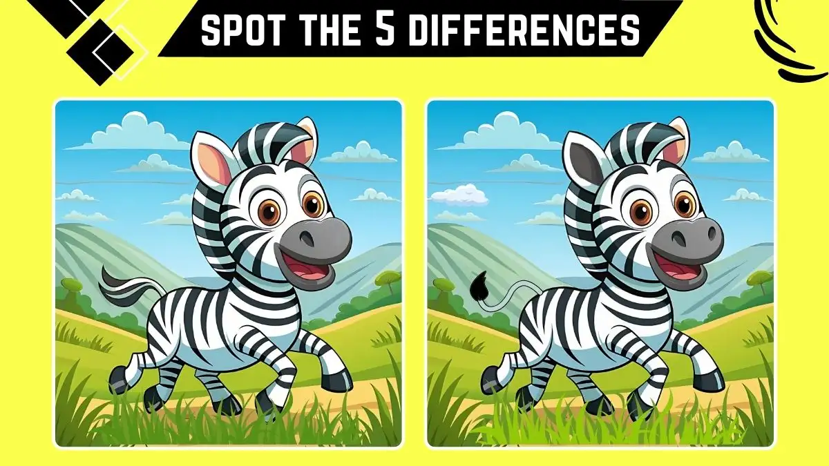 Spot the 5 Differences Picture Puzzle: Only Genius Can Spot the 5 Differences in this Zebra Image in 15 Secs