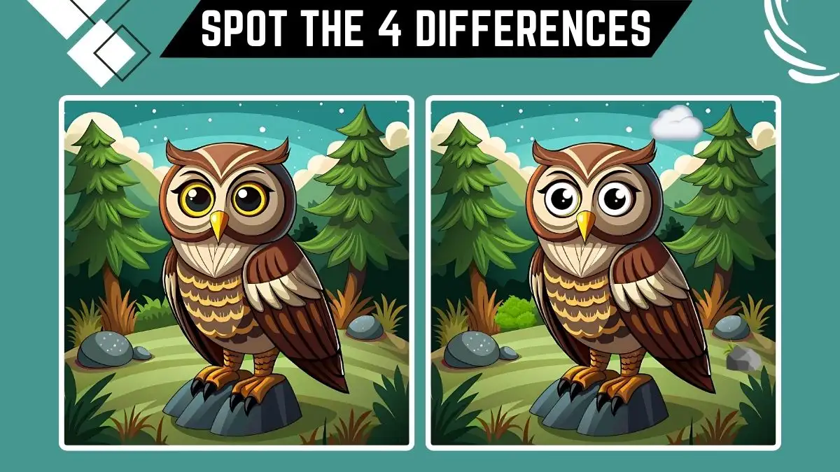 Spot the Difference Game: Only Eagle Eyes Can Spot the 4 Differences in this Owl Image in 12 Secs ​