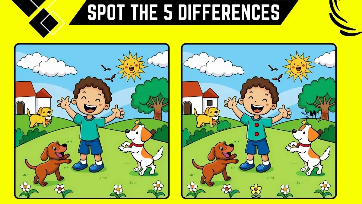 Spot the Difference Picture Puzzle Game: Only Extra Sharp Eyes Can Spot the 5 Differences in this Boy Image in 15 Secs