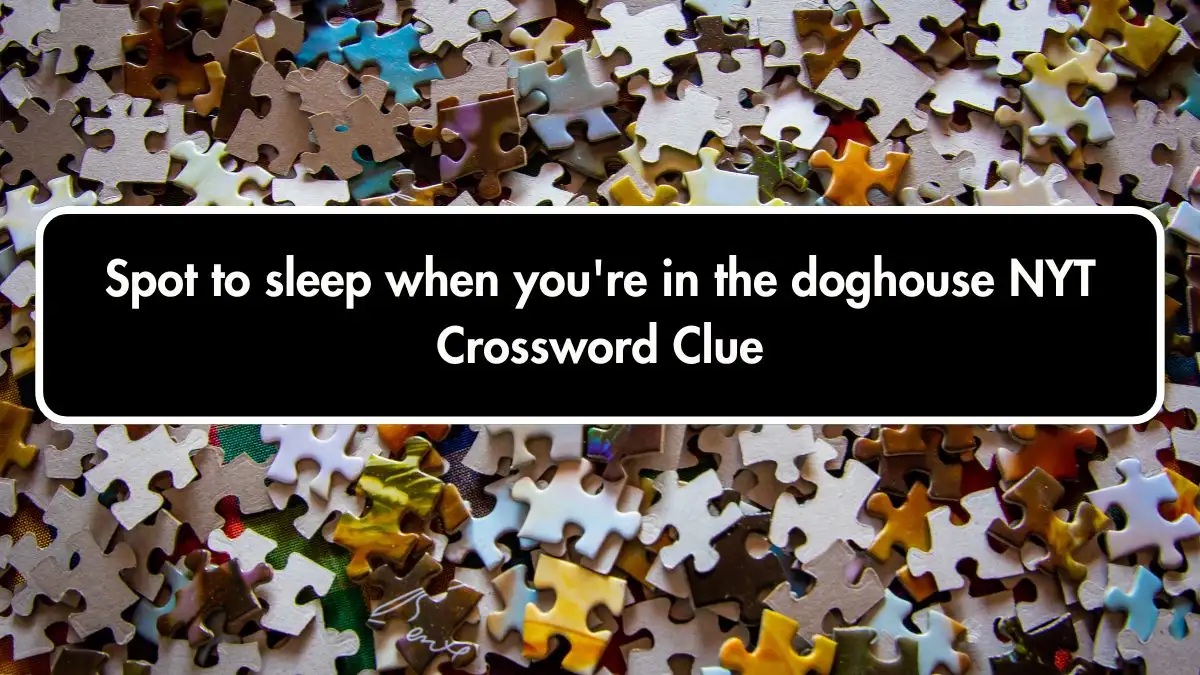 Spot to sleep when you're in the doghouse NYT Crossword Clue