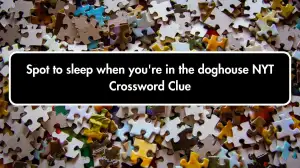 Spot to sleep when you're in the doghouse NYT Crossword Clue