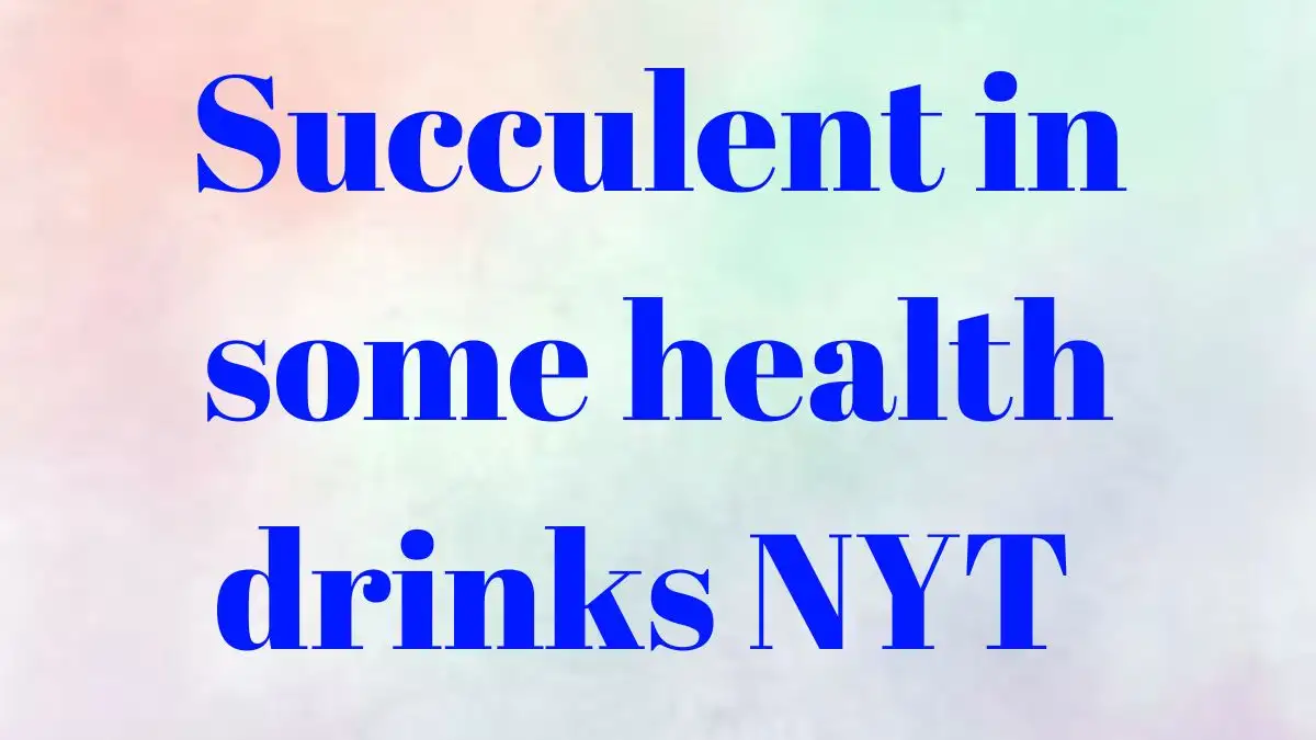 Succulent in some health drinks NYT Crossword Clue Answer Revealed