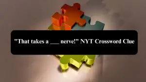 That takes a ___ nerve! NYT Crossword Clue