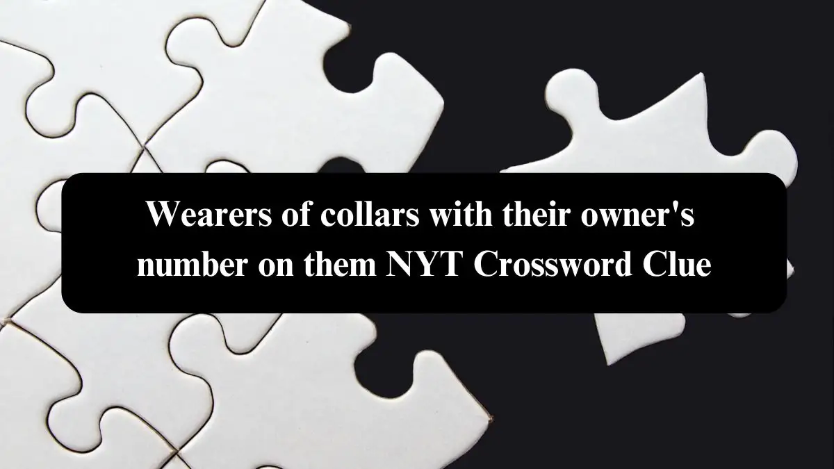 Wearers of collars with their owner's number on them NYT Crossword Clue