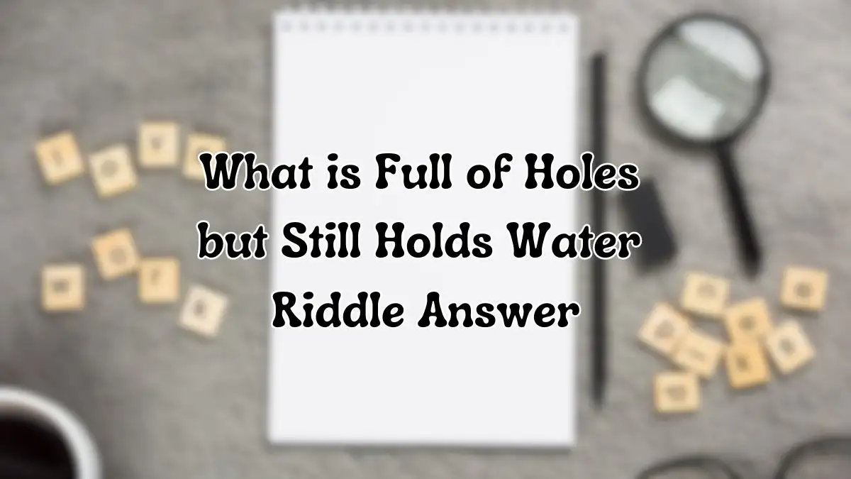 What is Full of Holes but Still Holds Water Riddle Answer and Explanation