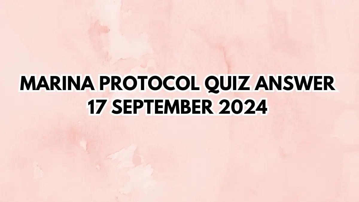 What is the role of the 'hidden layer' in a neural network? Marina Protocol Quiz Answer 17 September 2024