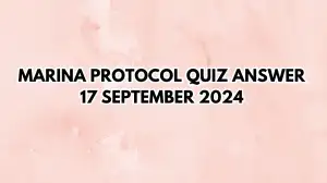 What is the role of the 'hidden layer' in a neural network? Marina Protocol Quiz Answer 17 September 2024