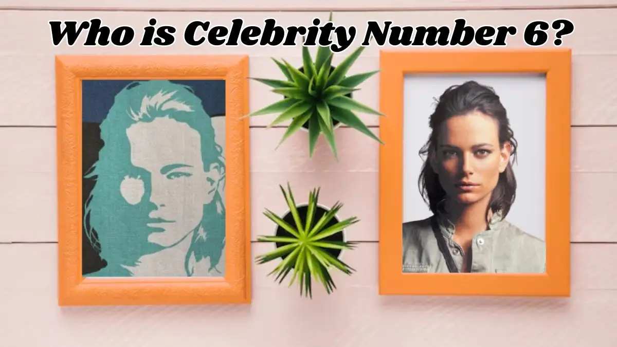 Who is Celebrity Number 6? What is Celebrity Number 6?