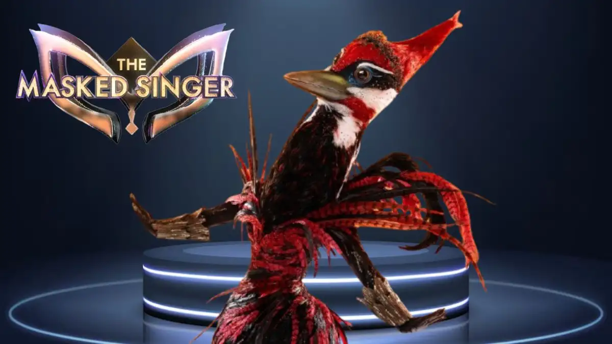 Who is Woodpecker on the Masked Singer? Predictions and Guesses