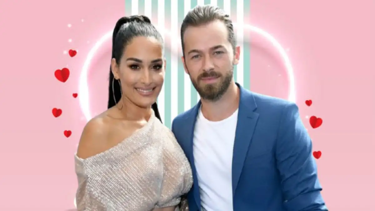 Why is Nikki Bella Getting a Divorce? Did Artem Hit Nikki Bella?