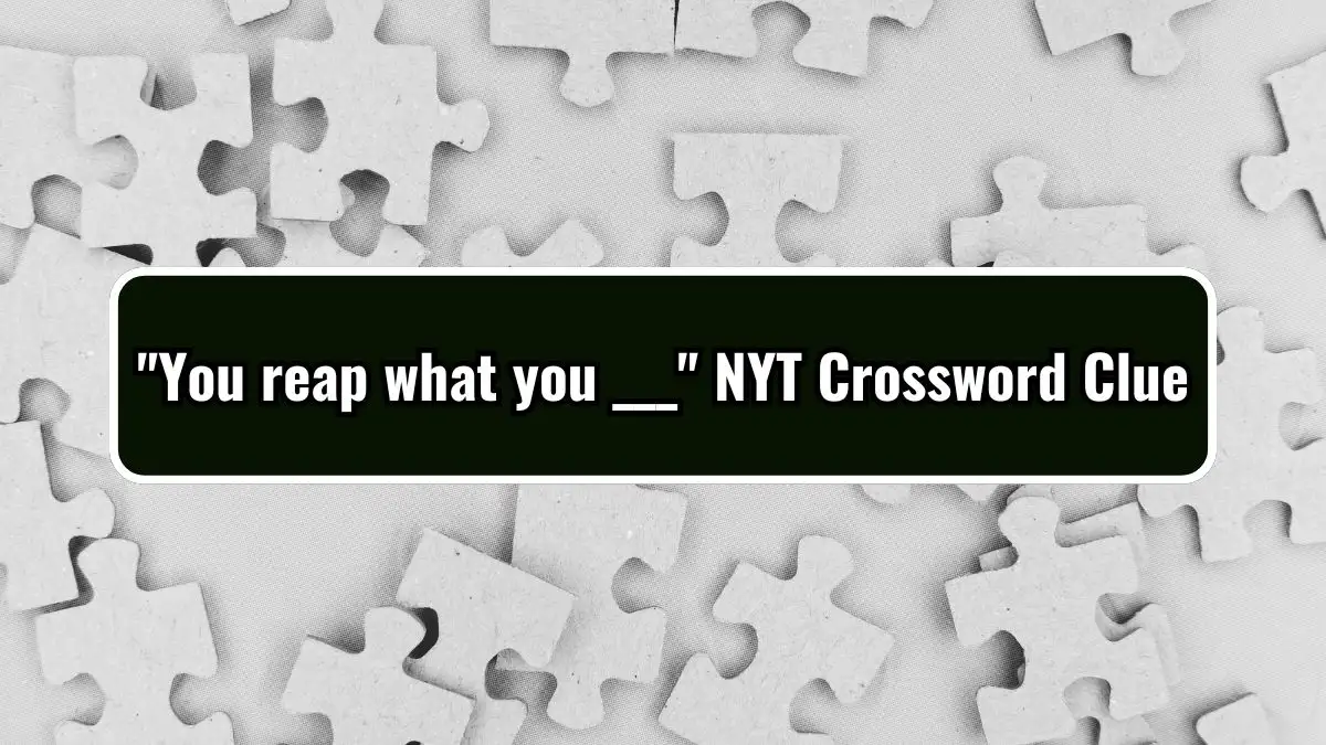 You reap what you ___ NYT Crossword Clue