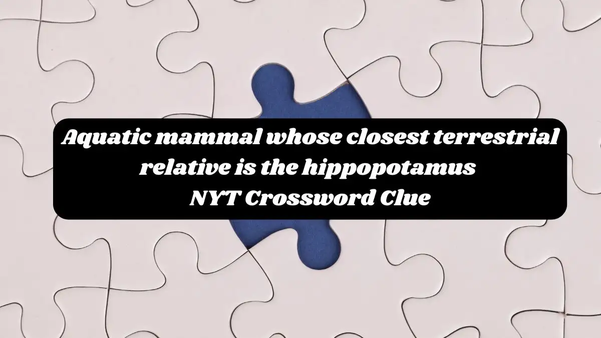 Aquatic mammal whose closest terrestrial relative is the hippopotamus NYT Crossword Clue