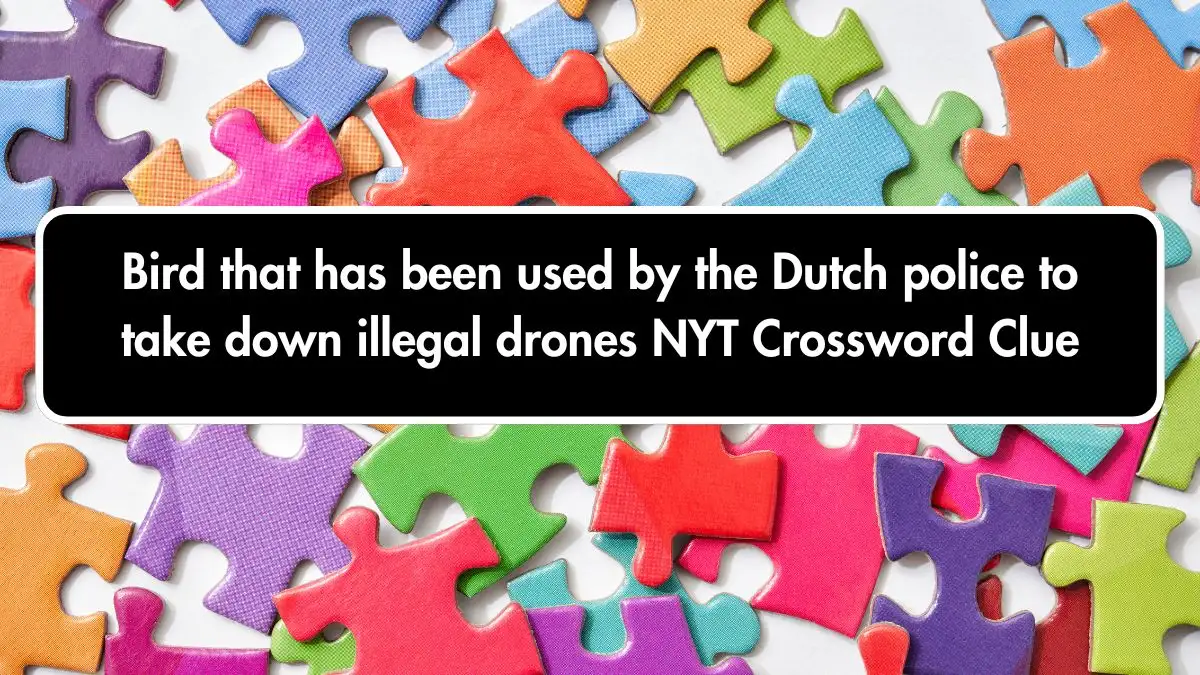 Bird that has been used by the Dutch police to take down illegal drones NYT Crossword Clue