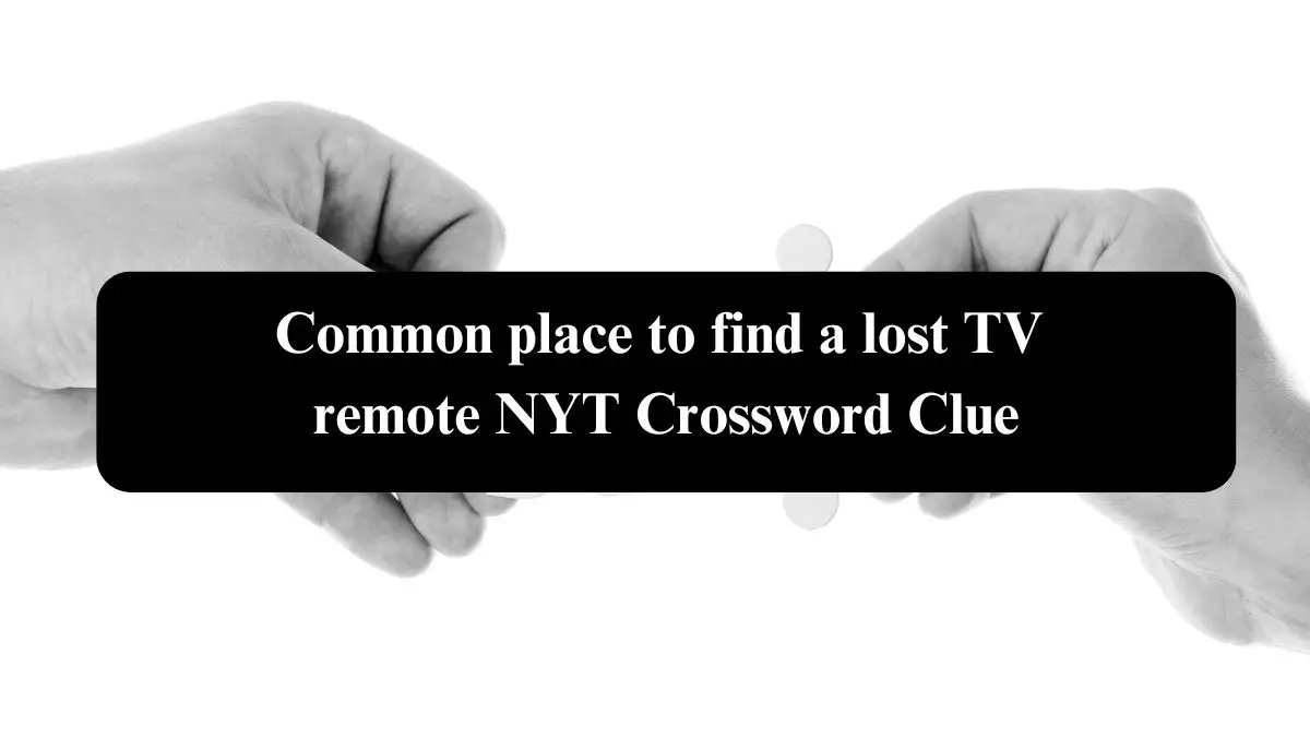 Common place to find a lost TV remote NYT Crossword Clue