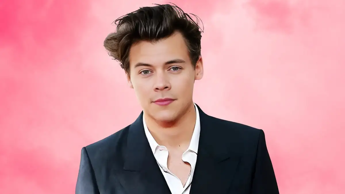 Harry Styles Net Worth in 2024 How Rich is He Now?