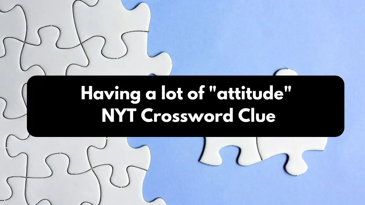 Having a lot of attitude NYT Crossword Clue