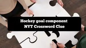 Hockey goal component NYT Crossword Clue