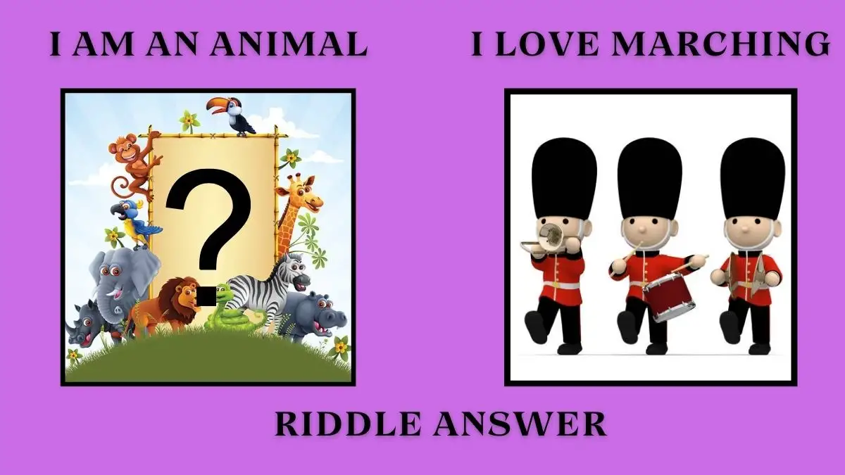 I am an Animal I Love Marching Riddle Answer and Explanation