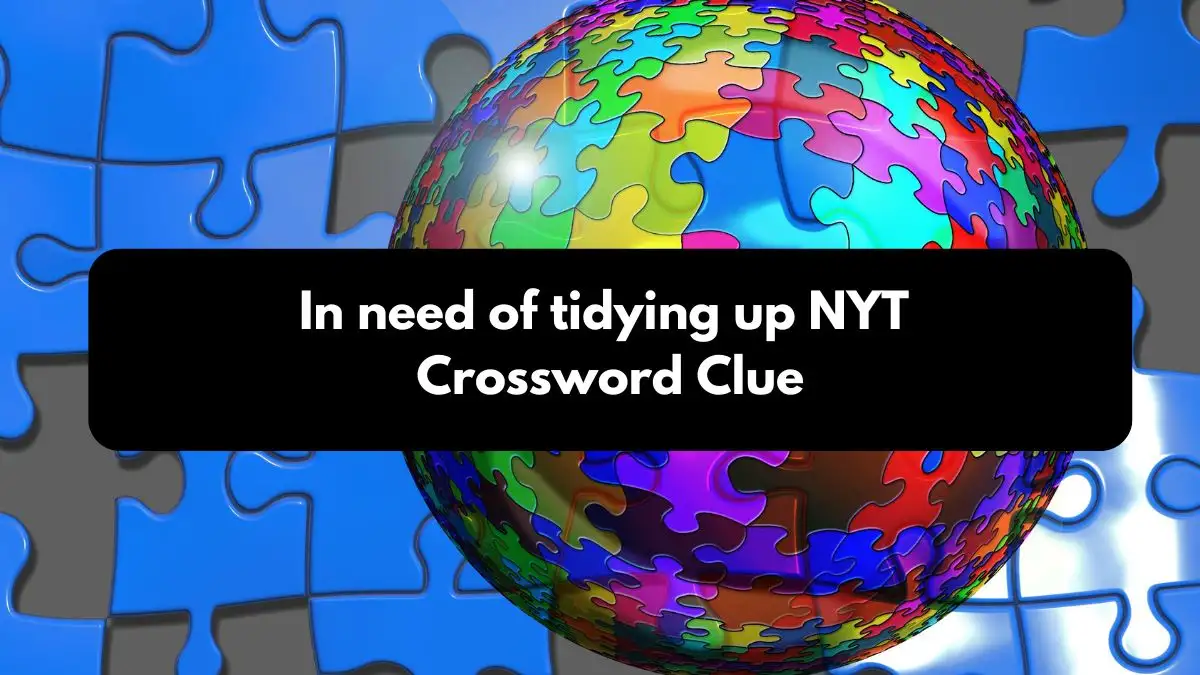 In need of tidying up NYT Crossword Clue