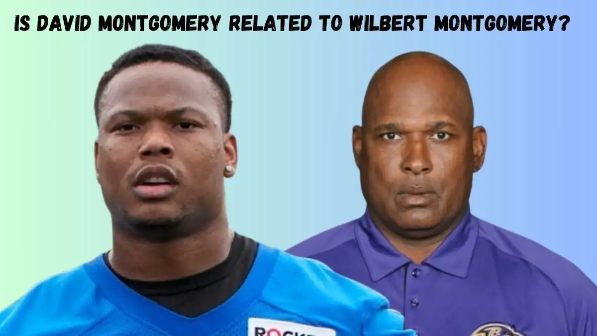 Is David Montgomery Related to Wilbert Montgomery? Who Are David Montgomery and Wilbert Montgomery?