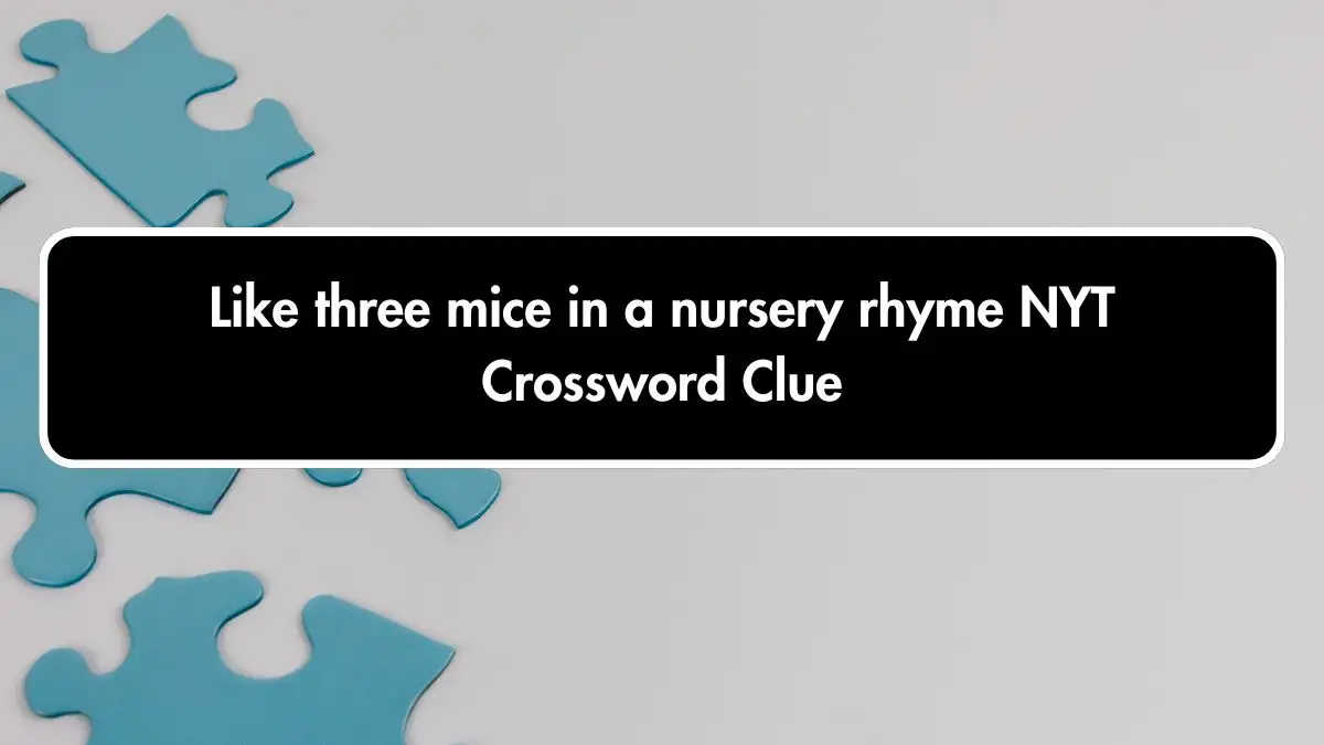 Like three mice in a nursery rhyme NYT Crossword Clue