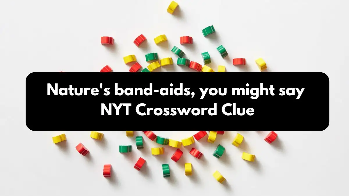 Nature's band-aids, you might say NYT Crossword Clue