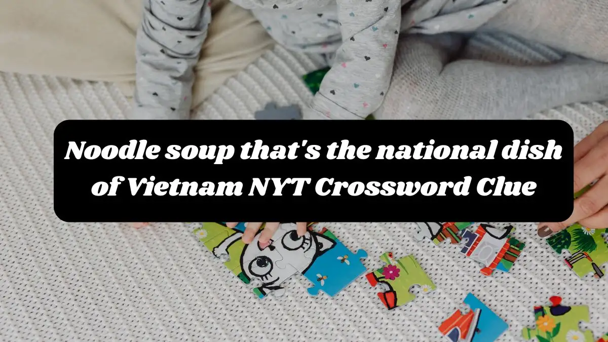 Noodle soup that's the national dish of Vietnam NYT Crossword Clue