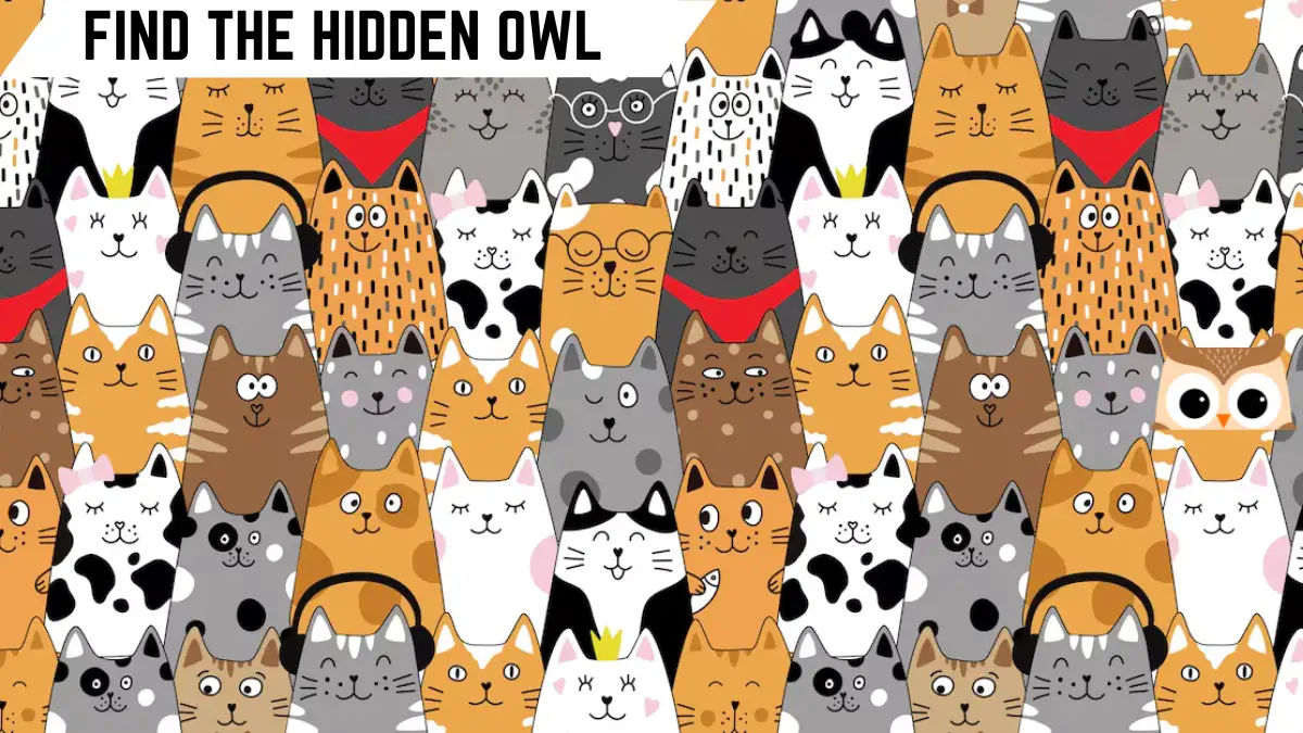 Optical Illusion Brain Challenge: Only Eagle Eyes Can Spot the Hidden Owl In 7 Secs