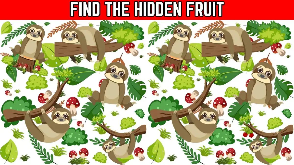 Optical Illusion Vision Test: Only People with 4K Visin Can Spot the Hidden Fruit in 9 Secs