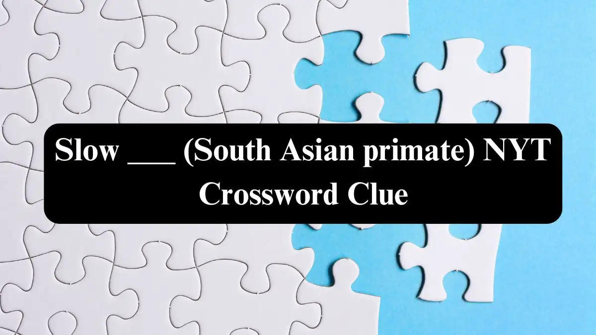 Slow ___ (South Asian primate) NYT Crossword Clue