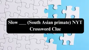 Slow ___ (South Asian primate) NYT Crossword Clue