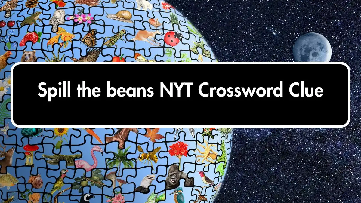 Spill the beans NYT Crossword Clue