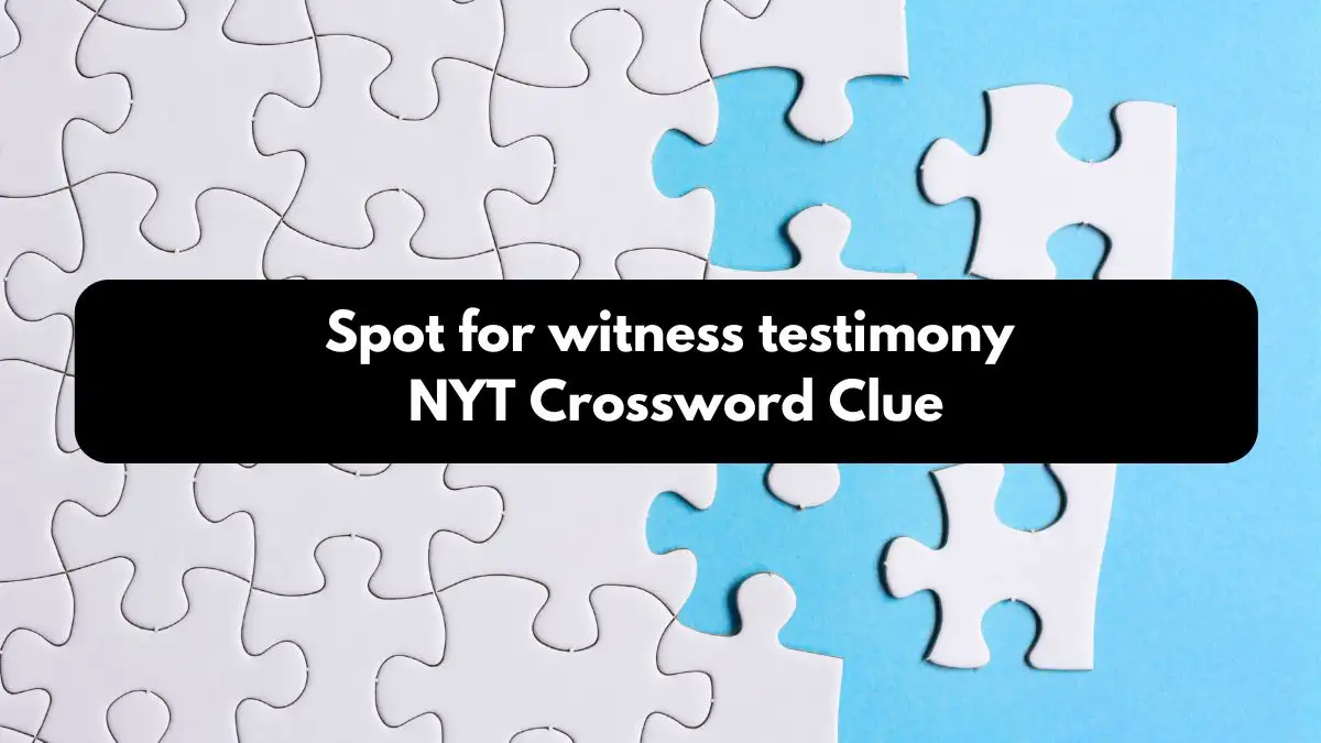 Spot for witness testimony NYT Crossword Clue