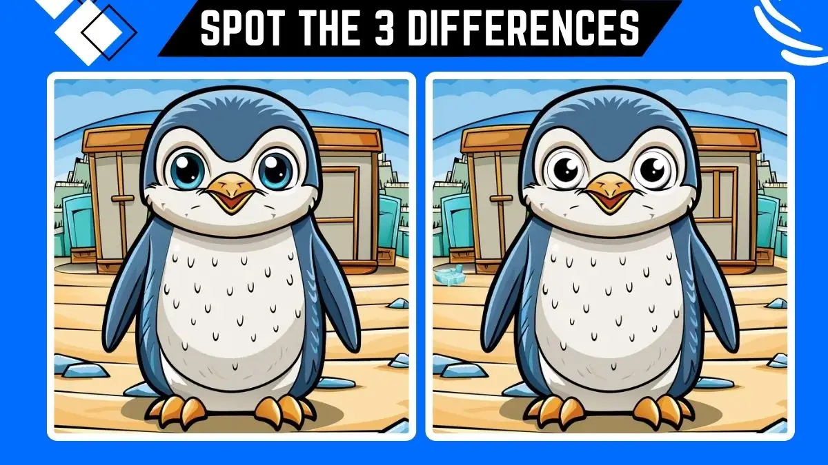 Spot the 3 Differences Game: Only X ray Vision People Can Spot the 3 Differences in this Penguin Image in 10 Secs