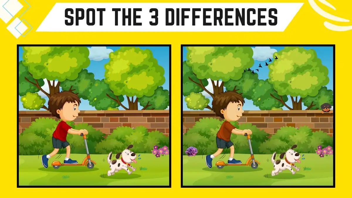 Spot the 3 Differences: Only People with Sharp Eyes Can Spot the 3 Differences in this Image in 10 Secs | Picture Puzzle Game