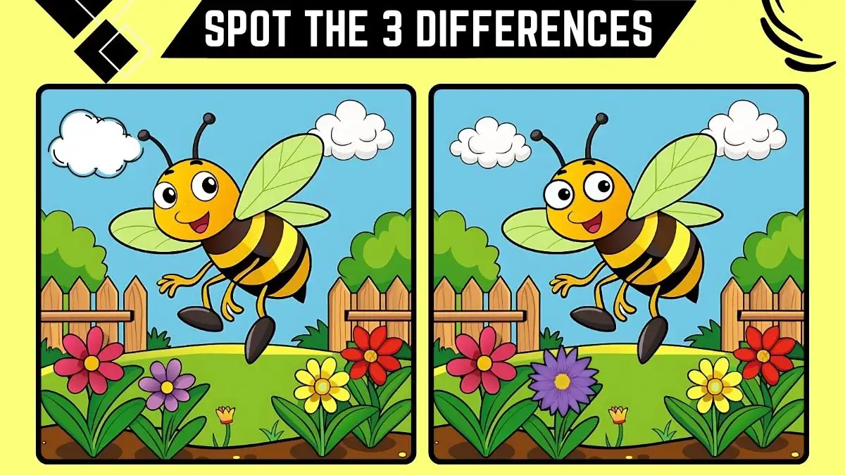 Spot the 3 Differences Picture Puzzle Game: Only Eagle Eyes Can Spot the 3 Differences in this Bee Image in 12 Secs